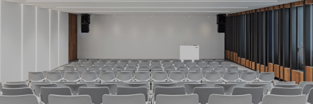 Auditorium with small linear array with flying subs